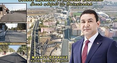 Harran’da Sıcak Asfalt Çalışmaları Devam Ediyor