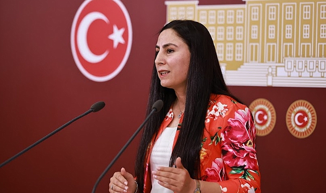 Vekil Ayşe Sürücü, bakana pamuk fiyatlarını sordu