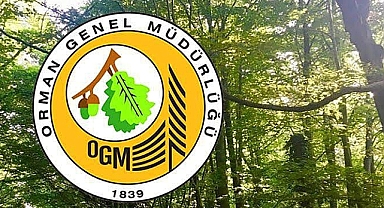16 bin 500 personel alınacak