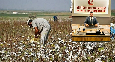 Başkan Yıldız yetkililere seslendi: Pamuk üreticisi perişan halde