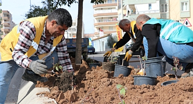 Büyükşehir’den Kent Genelinde Çiçek Ekimi