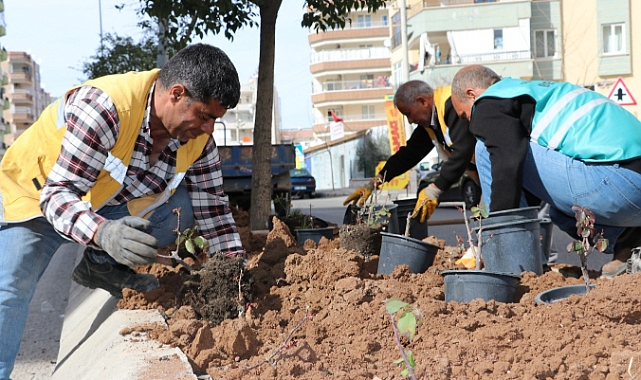 Büyükşehir’den Kent Genelinde Çiçek Ekimi