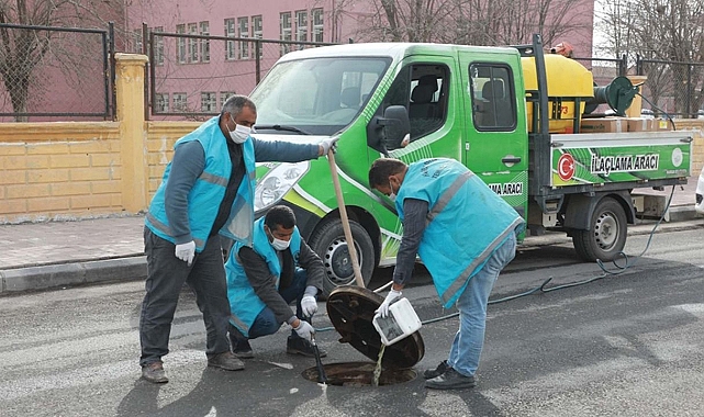 Harran'da haşereye karşı ilaçlama çalışmaları devam ediyor!