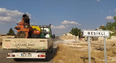 Harran'da haşereyle mücadele çalışmaları devam ediyor