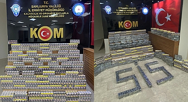 Şanlıurfa'da operasyon: Gözaltılar var