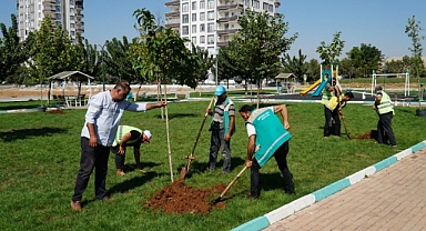 Haliliye'de ağaçlandırma çalışmaları sürüyor
