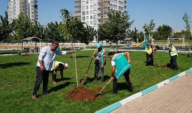Haliliye'de ağaçlandırma çalışmaları sürüyor