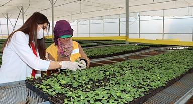 Büyükşehir’den Her Mevsim İçin Çiçek