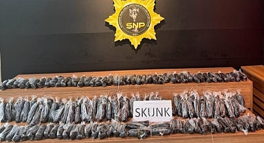 Şanlıurfa'da 14 kilo 350 gram skunk ele geçirildi