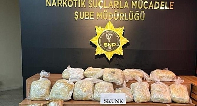 Şanlıurfa'da 43 kilo 700 gram skunk ele geçirildi