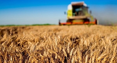 Çiftçilere müjde! destekleme ücretleri bugün hesaplara yatıyor