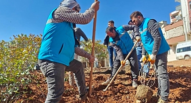 Eyyübiye'de yeşillendirme çalışmaları devam ediyor