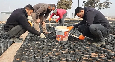 Şanlıurfa'da fıstık üreticilerine destek projesi başlatıldı!
