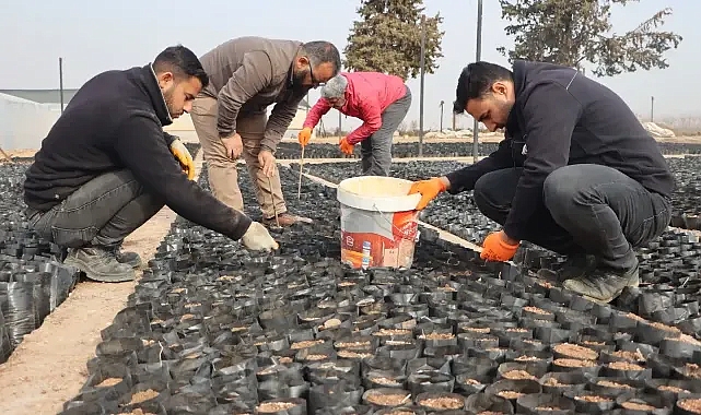 Şanlıurfa'da fıstık üreticilerine destek projesi başlatıldı!
