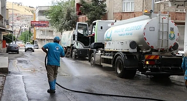 Haliliye baştan aşağı temizleniyor