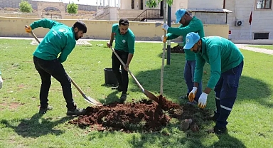 Haliliye’de yeşil dönüşüm!