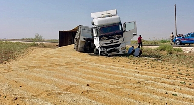 Şanlıurfa'da tır kazası! Tonlarca buğday yere serildi