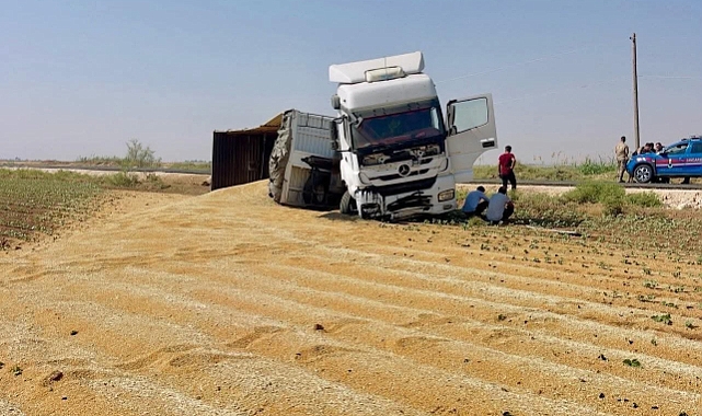 Şanlıurfa'da tır kazası! Tonlarca buğday yere serildi