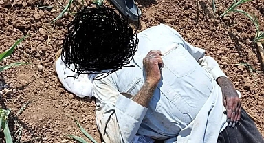 Akçakale’de Mısır Tarlasında Erkek Cesedi Bulundu
