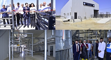 Ceylanpınar Belediyesi Modern Mezbaha Tesisi Hizmete Açıldı