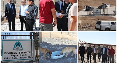 Eyyübiye'de hayvan bakım evi her hizmete giriyor