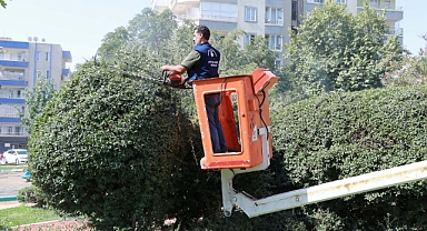 Haliliye Belediyesi’nden Parklara Yenileme ve Güzelleştirme Çalışması