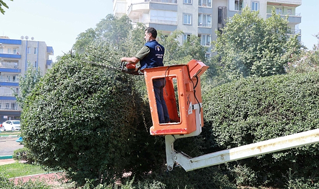 Haliliye Belediyesi’nden Parklara Yenileme ve Güzelleştirme Çalışması