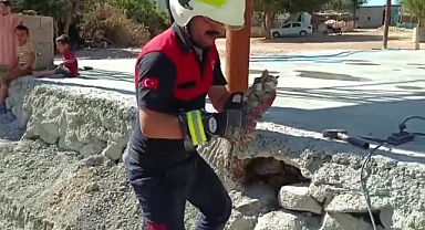Harran'da Betonun Altında Mahsur Kalan 2 Yavru Kedi Kurtarıldı