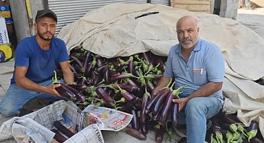 Lezzetiyle Dillere Destan, Sofraların Vazgeçilmezi!
