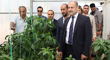 Şanlıurfa Büyükşehir Belediyesi, Ata Tohumuna Sahip Çıkıyor