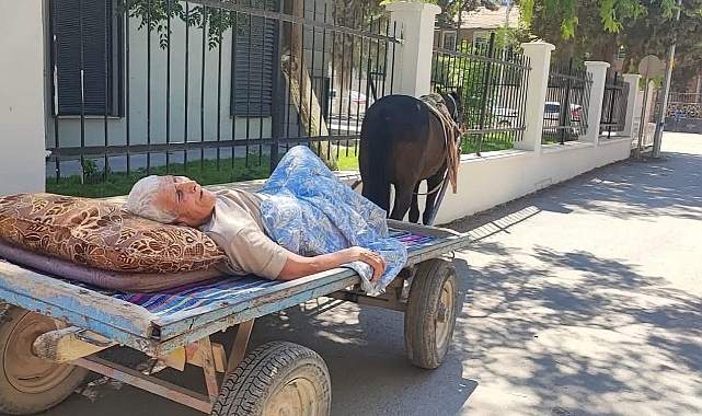 Şanlıurfa'da 56 Derecelik Sıcakta Yatalak Adam At Arabasıyla Banka İşlemi İçin Getirildi