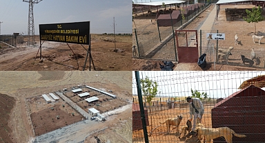 Viranşehir Belediyesi hayvan bakım merkezi açıldı 