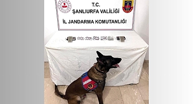 Eyyübiye’de Narkotik Operasyonu: Sentetik Ecza ve Fişek Ele Geçirildi