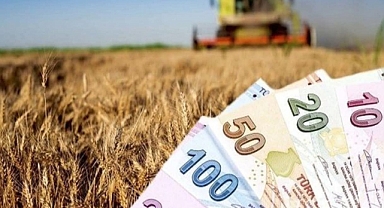 TMO, 2025 Yılı Alım Ödemelerine Devam Ediyor