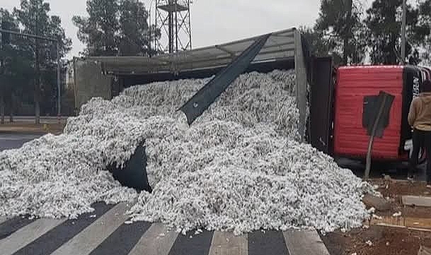 Viranşehir’de Pamuk Yüklü Kamyon Devrildi