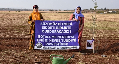 Hilvan’da 25 Kasım Kadına Yönelik Şiddete Karşı Fidan Dikim Programı Düzenlendi