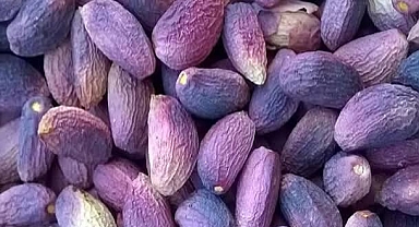 Şanlıurfa’da Güncel Fıstık Fiyatları Açıklandı!