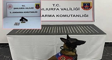 Şanlıurfa’da Narkotik Operasyonu: 4 Şüpheli Yakalandı