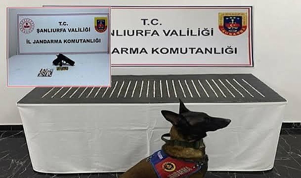 Şanlıurfa’da Narkotik Operasyonu: 4 Şüpheli Yakalandı