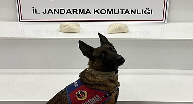 Urfa’da Uyuşturucu Operasyonu: 2 Kilo Sentetik Madde Ele Geçirildi