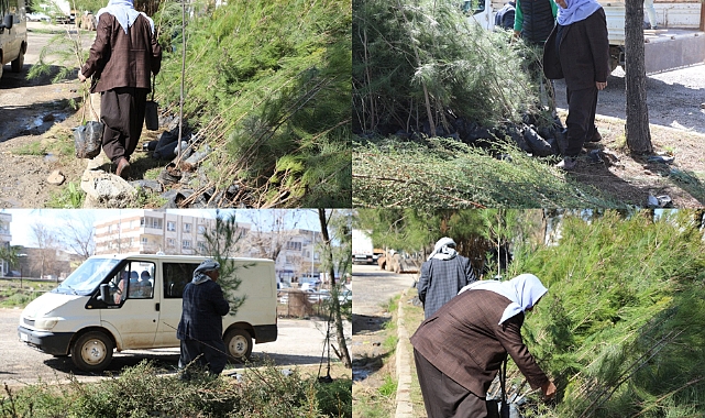 Başkan Serhat Dicle İnan: Yeşil Bir Viranşehir İçin Çalışıyoruz 