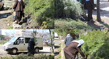 Başkan Serhat Dicle İnan: Yeşil Bir Viranşehir İçin Çalışıyoruz 