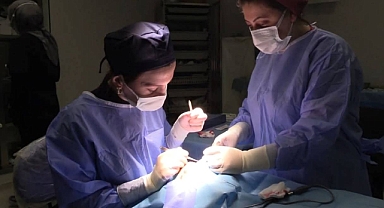 Göz Kapağı Düşüklüğü (Pitoz) Nedir? Nasıl Tedavi Edilir?