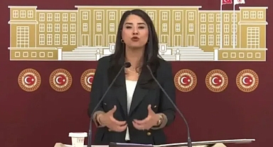 Dilan Kunt Ayan’dan Akçakale Sınır Kapısı ve Geçiş Ücretine İlişkin Soru Önergesi