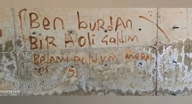 Şanlıurfa'da “Film Senaryosu” Gibi Hırsızlık Olayı