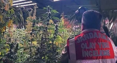 30 İlde Uyuşturucu Operasyonu: 392 Şüpheli Yakalandı