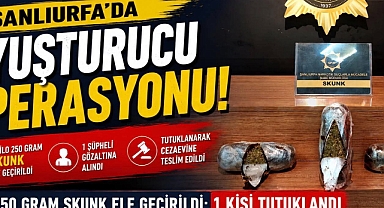 Şanlıurfa’da 2 Kilo 250 Gram Skunk Ele Geçirildi: 1 Kişi Tutuklandı